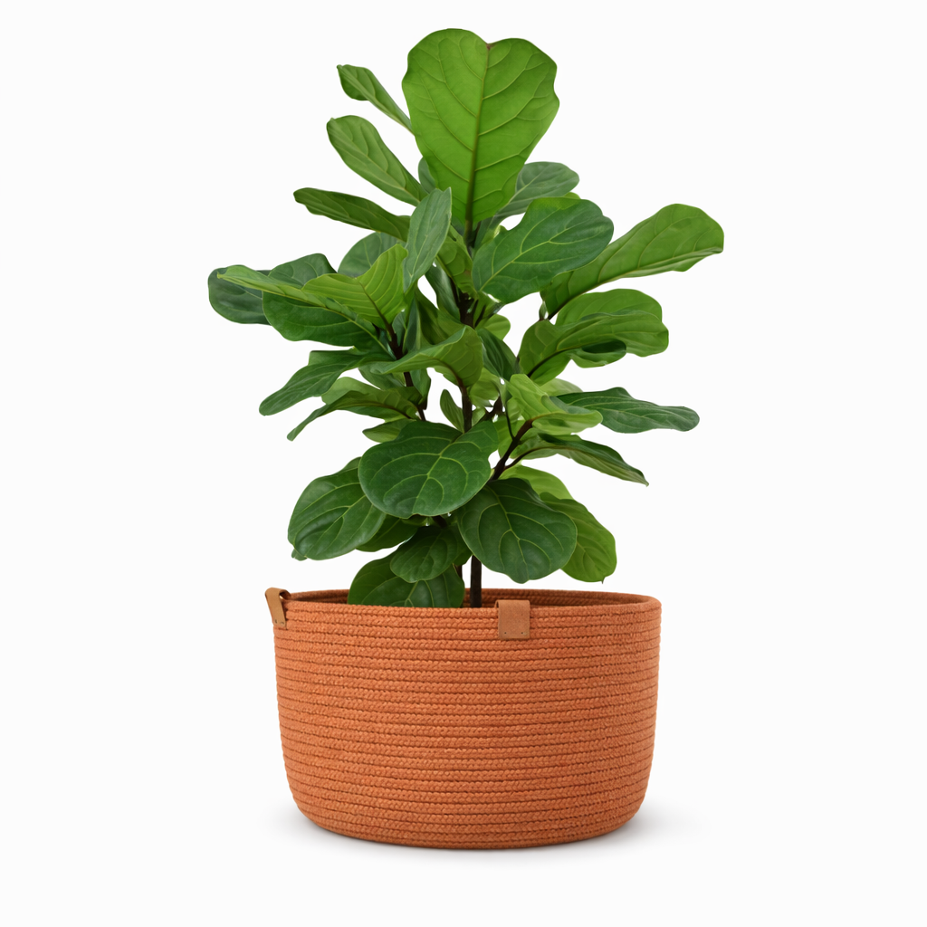 Cesto Multifuncional Versa – náutico, core Terracota.